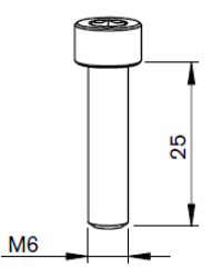 AM-SAFETY SCREW