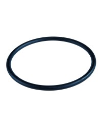 Oring 79x4